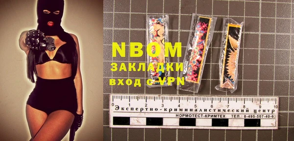 прущие грибы Абинск