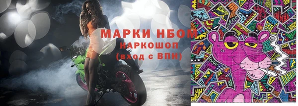 прущие грибы Абинск