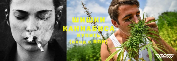 прущие грибы Абинск