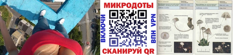 MEGA зеркало  цена наркотик  Десногорск  Псилоцибиновые грибы Cubensis 